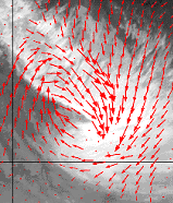 Voorbeeld van een scatterometer-windveld